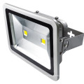 Hot selling 100 watt remote control outdoor led flood light Brideglux driver inside emergency